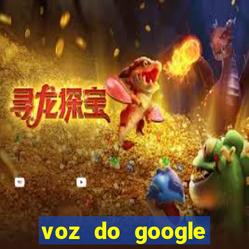 voz do google tradutor homem