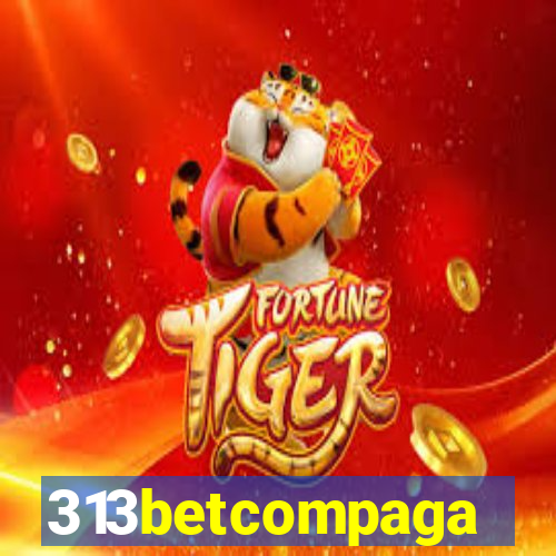 313betcompaga