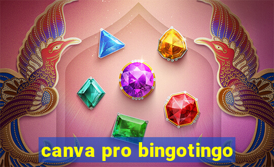 canva pro bingotingo