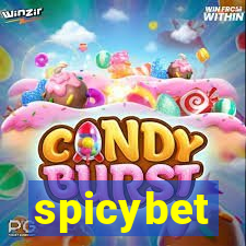 spicybet-1.com